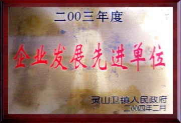 2003年度發展先進單位