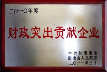 2010年度財政突出貢獻企業