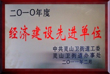 2010年度經濟建設先進單位
